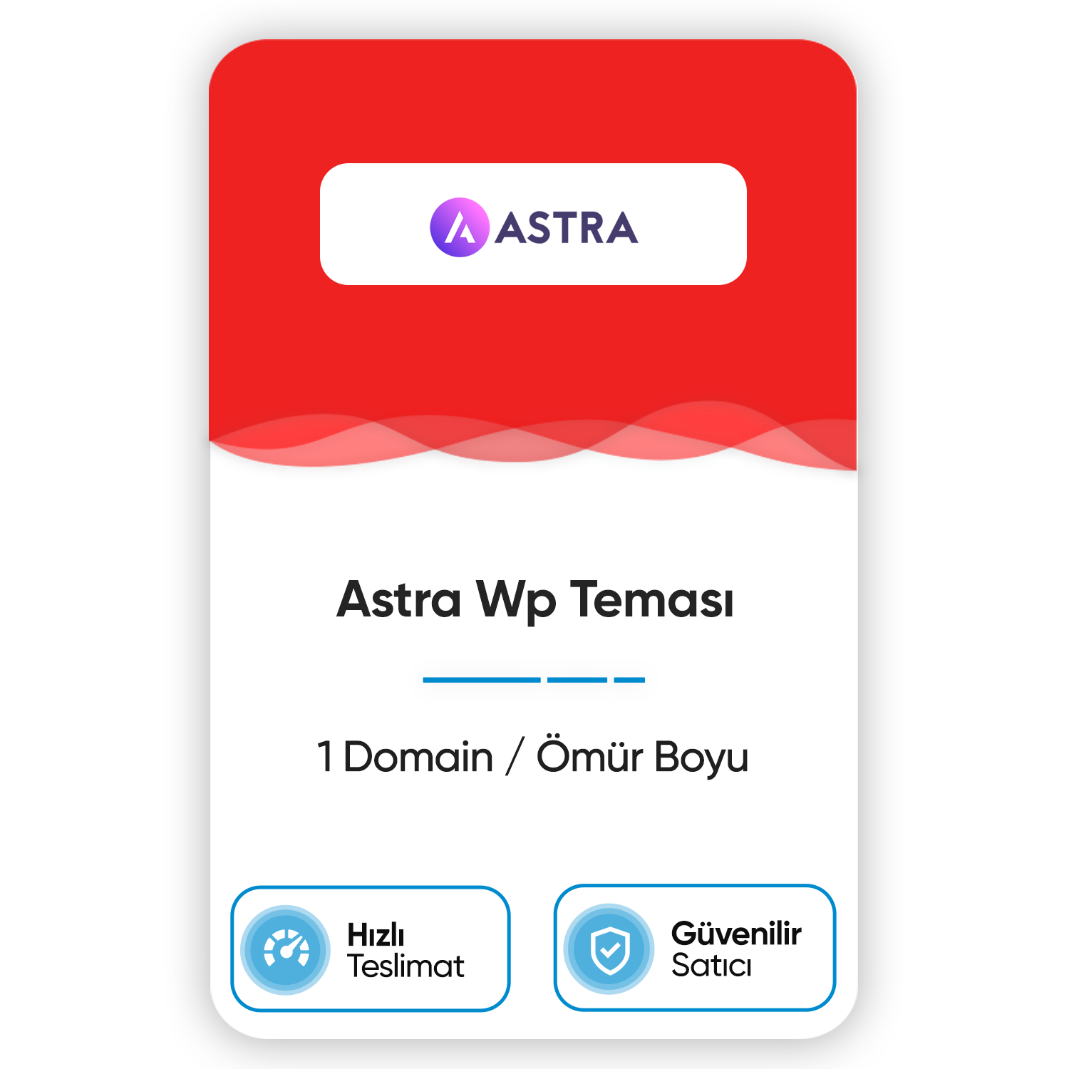 astra-wp-temasi-1-domain-omur-boyu.png