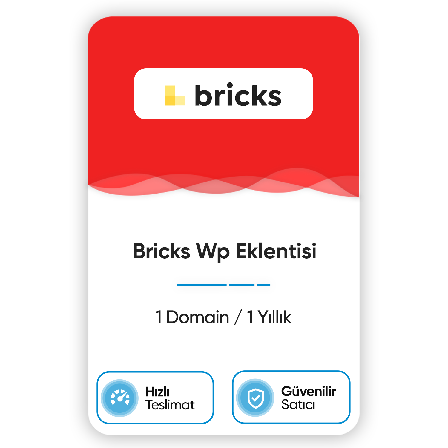 bricks-wp-eklentisi-1-domain-1-yillik.png