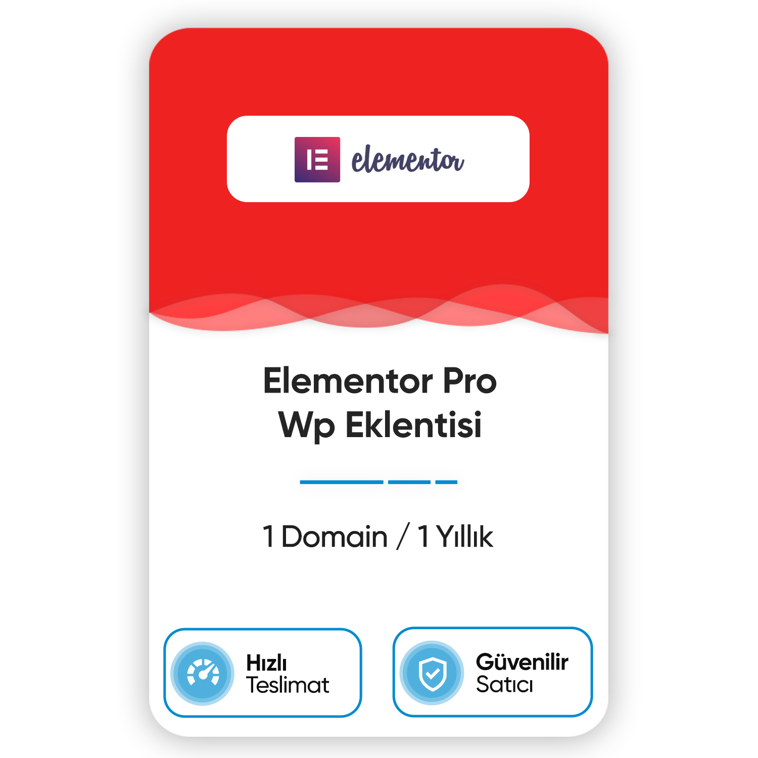 elementor-pro-wp-eklentisi-1-domain-1-yillik.png
