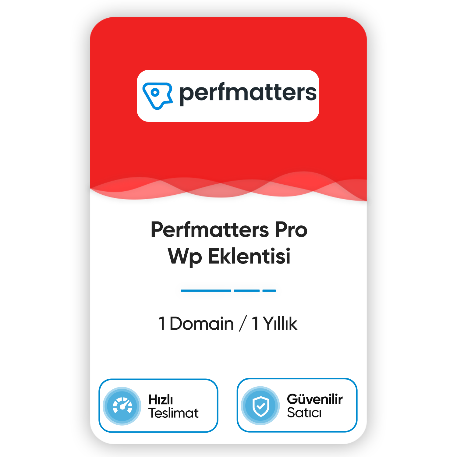 perfmatters-pro-wp-eklentisi-1-domain-1-yillik.png