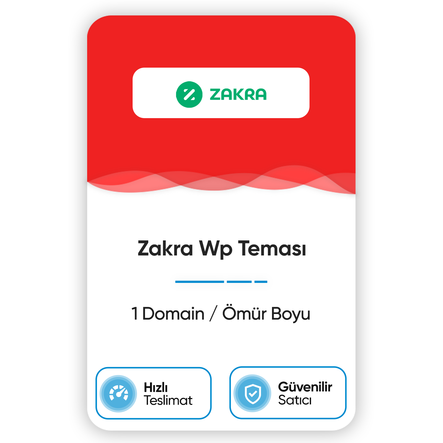 zakra-wp-temasi-1-domain-omur-boyu.png